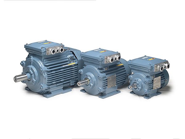 ABB Motor لبثق الغشاء المنفوخ